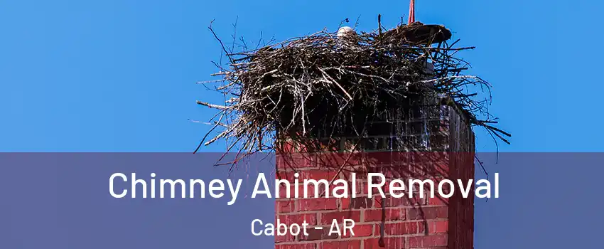  Chimney Animal Removal Cabot - AR