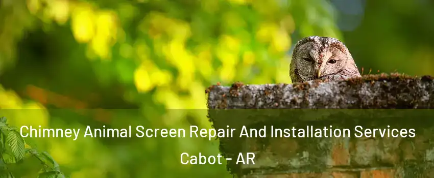  Chimney Animal Screen Repair And Installation Services Cabot - AR