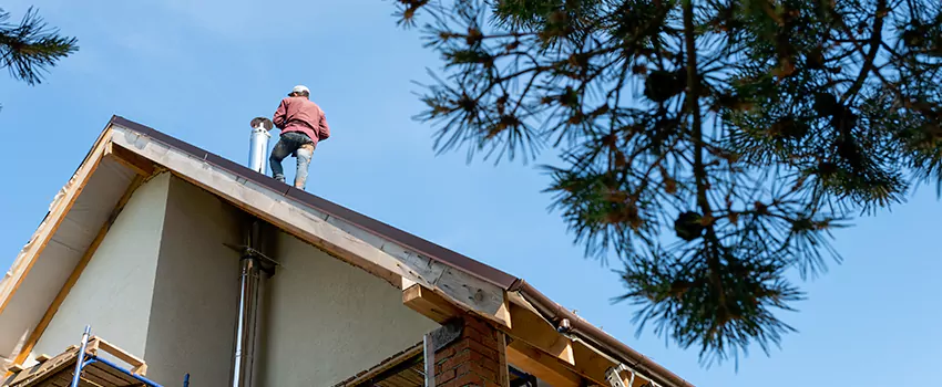 Birds Removal Contractors from Chimney in Cabot, AR