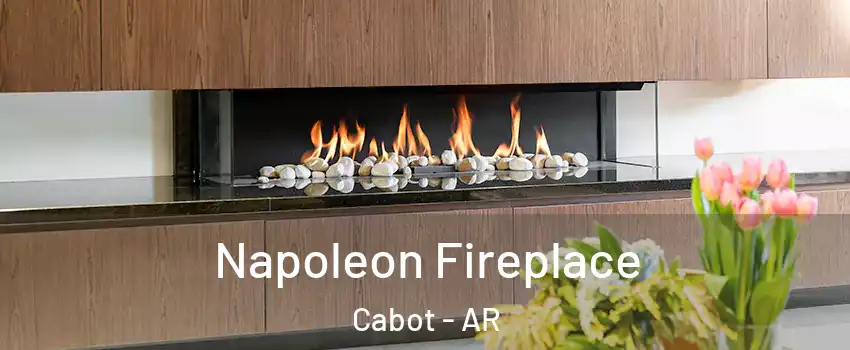  Napoleon Fireplace Cabot - AR